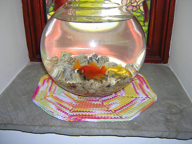 Fish bowl doily