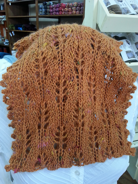 Lyonia Cowl