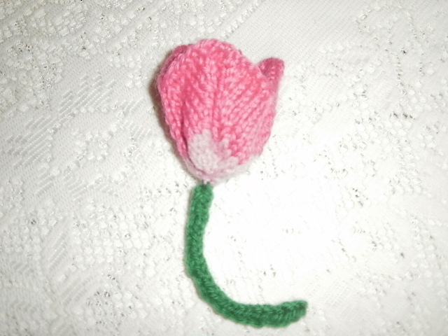Tulip