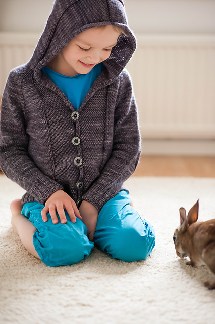Little Spring Hoodie