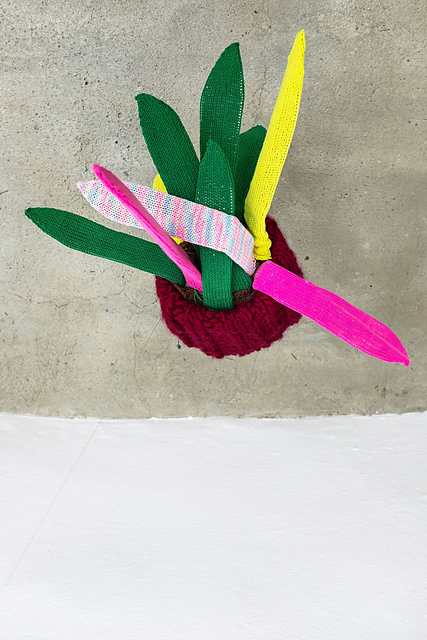 House Plant_Sansevieria