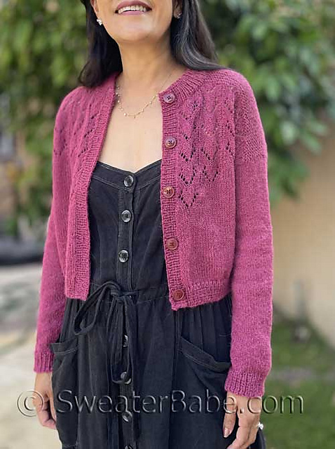 PERVERZE 本田翼着用Blend Border Knit Cardigan PERVERZE 本田翼着用Blend Border Knit Cardigan