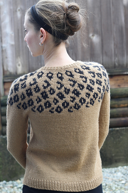 Roar! Pullover