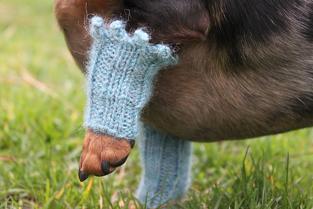 Mini Dachshund Dog Wrist Warmers