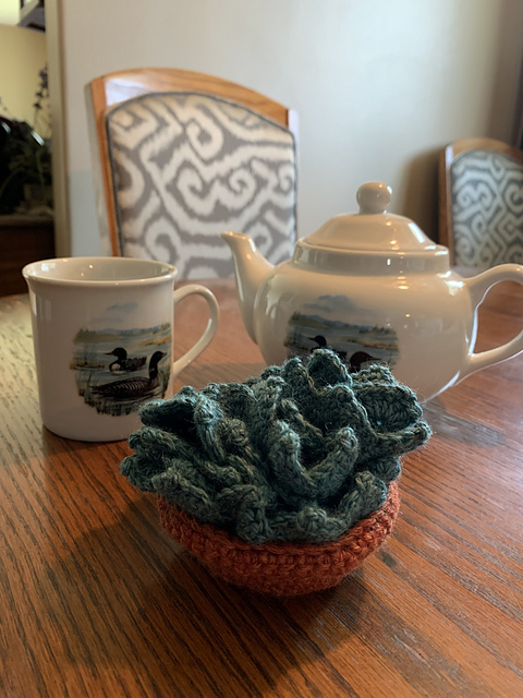 Succulent Coaster Set