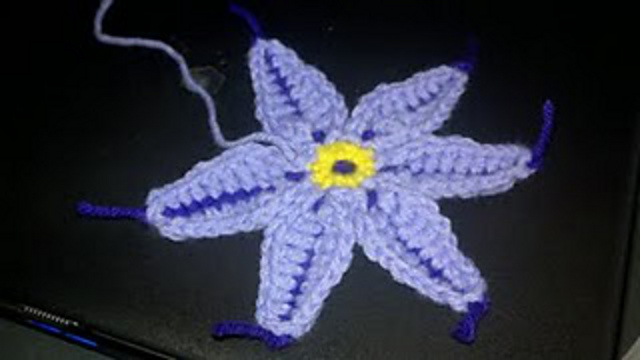 Stargazer Lily