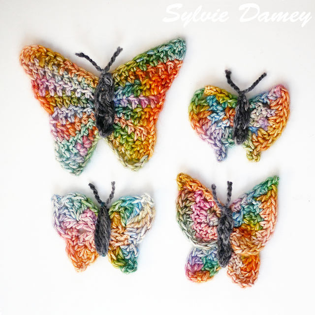 Papillon Butterfly