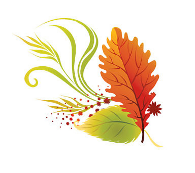 Ravelry: MKAL Pinnate or Palmate pattern by Catherine Beam