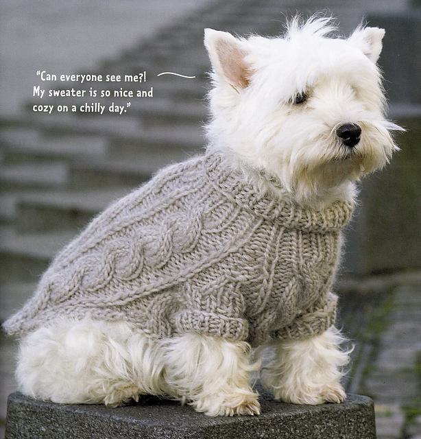 Cabled Sweater with Roll Collar