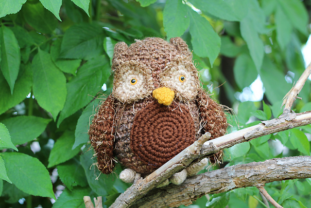 Owl/Snow Owl