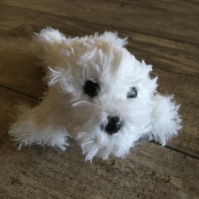 Fluffy Baby Seal