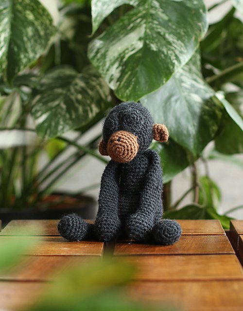 Joan the Bonobo