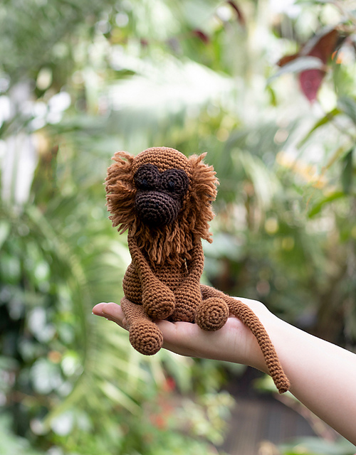 Abel the Howler Monkey