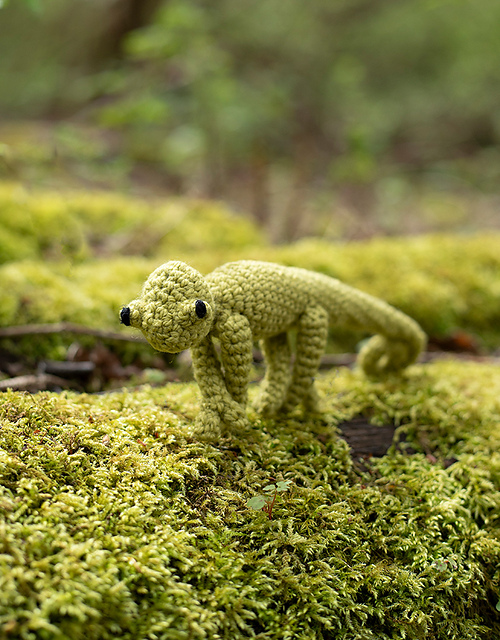 Mini Kerry the Chameleon
