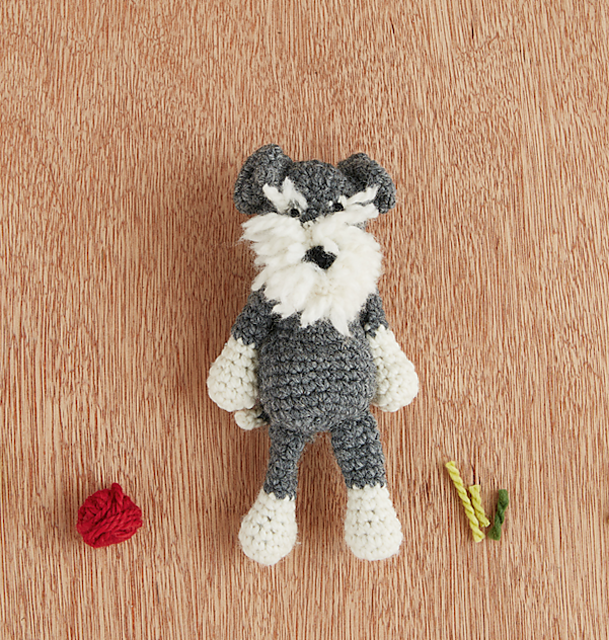 Mini Romeo the Schnauzer