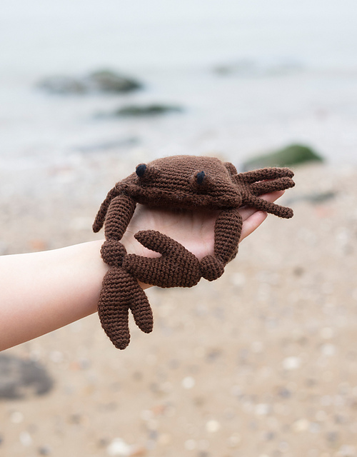 Jimmy the Atlantic Crab