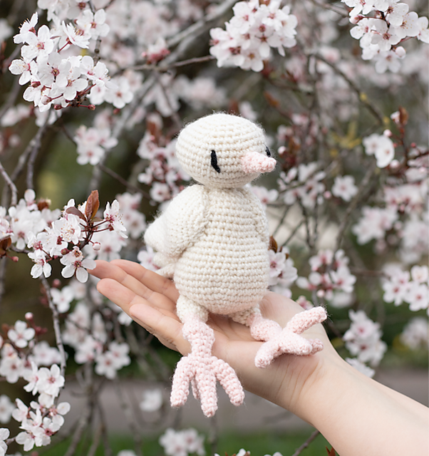 Celine the Dove