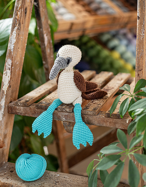 Vince the Blue-footed Booby