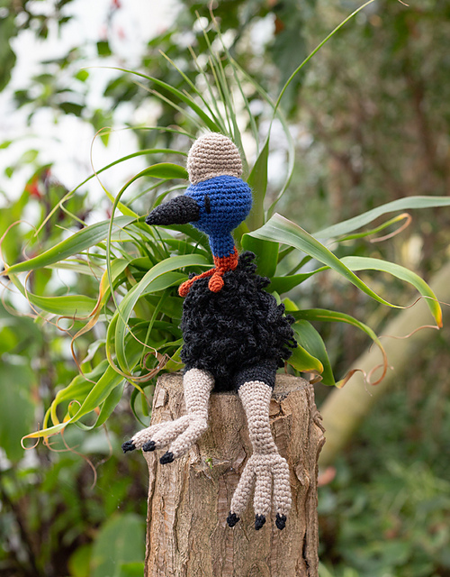 Kevin the Cassowary