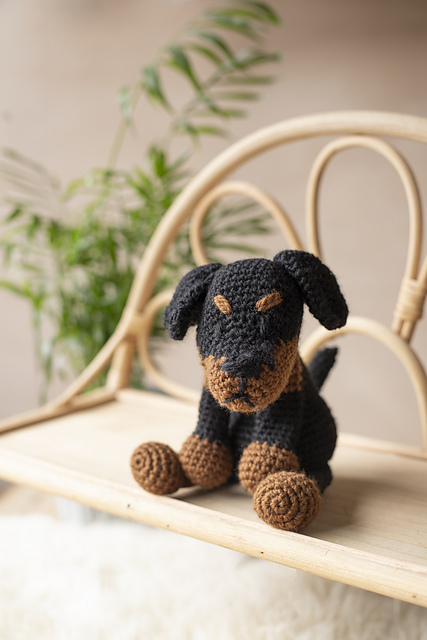 Ray The Manchester Terrier