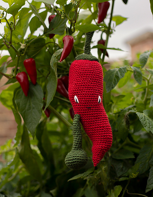 Chilli Pepper