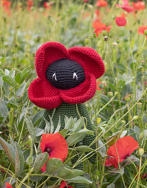 Ravelry: Poppy pattern by TOFT UK