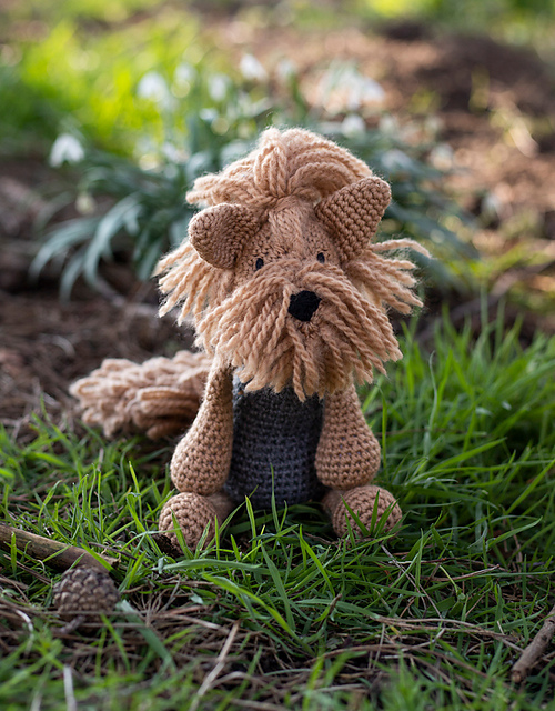 Dorothy the Yorkshire Terrier