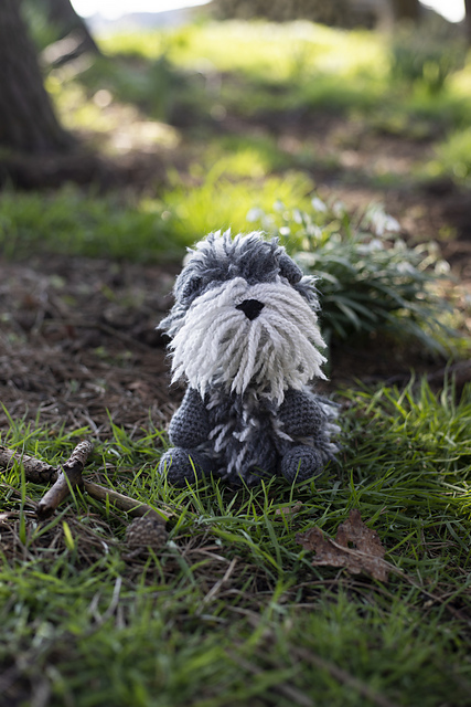 Joyce the Irish Wolfhound