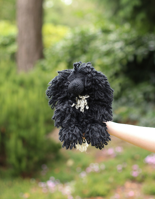 Ilana the Newfoundland