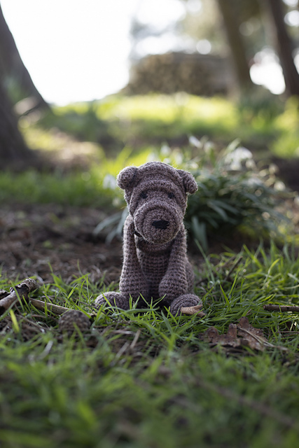 Byron the Sharpei