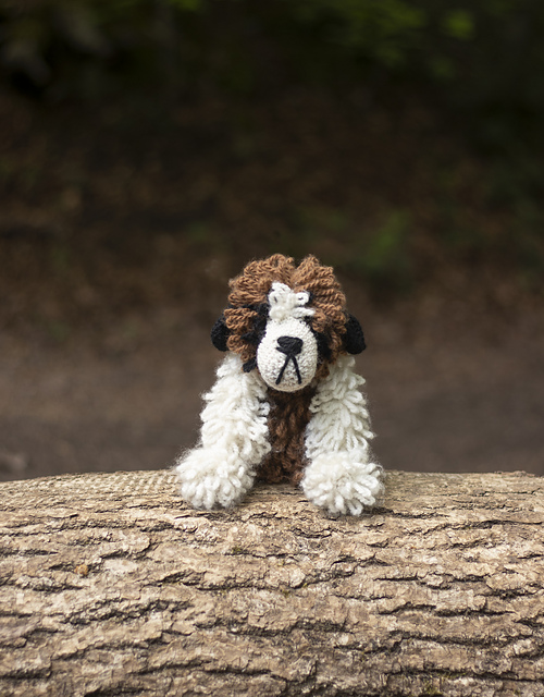 Riley the Saint Bernard