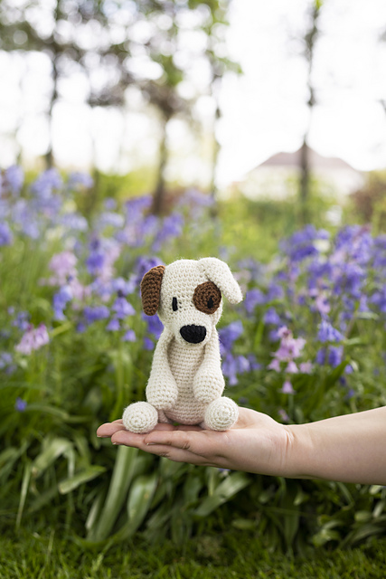 Tucker the Jack Russell