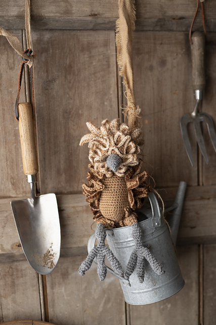 Calypso the Frizzle Chicken