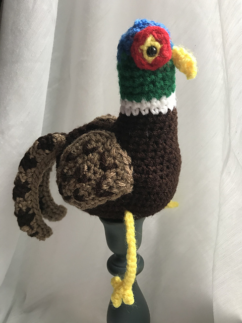 Ring-neck Pheasant