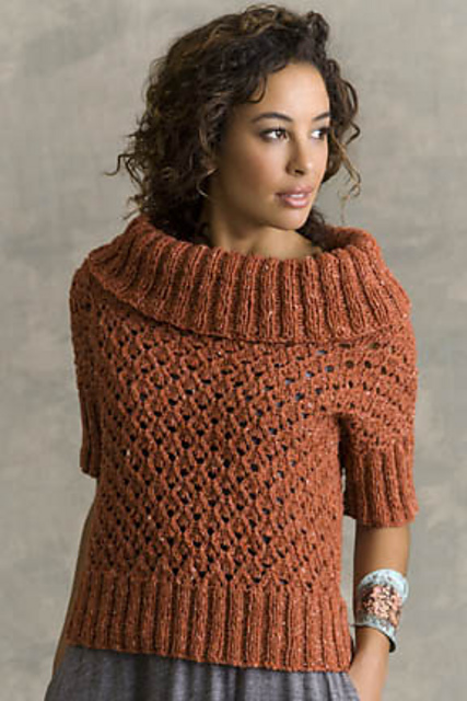 Chesterton Cowl-Collar Mesh Top
