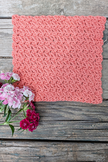 Petal Popcorn Dishcloth