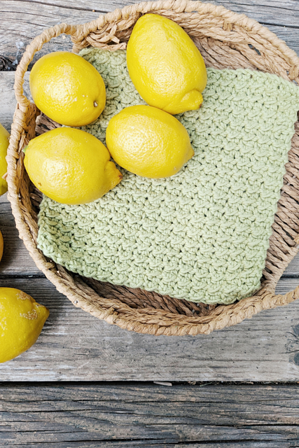 Citrus Grove Dishcloth