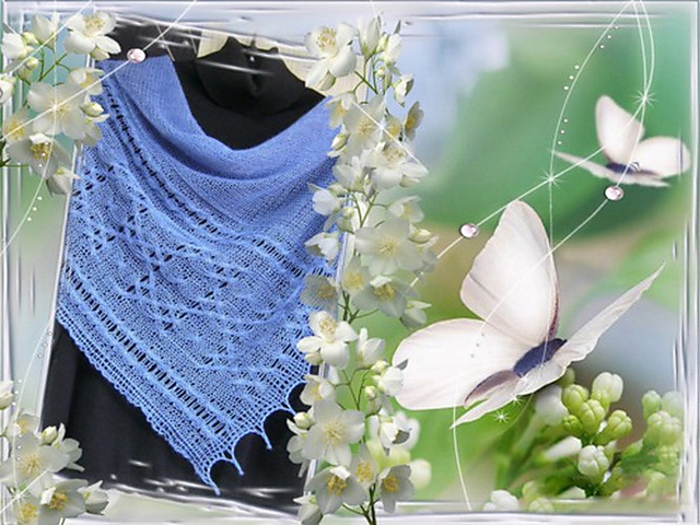 Shawl Dа́nu