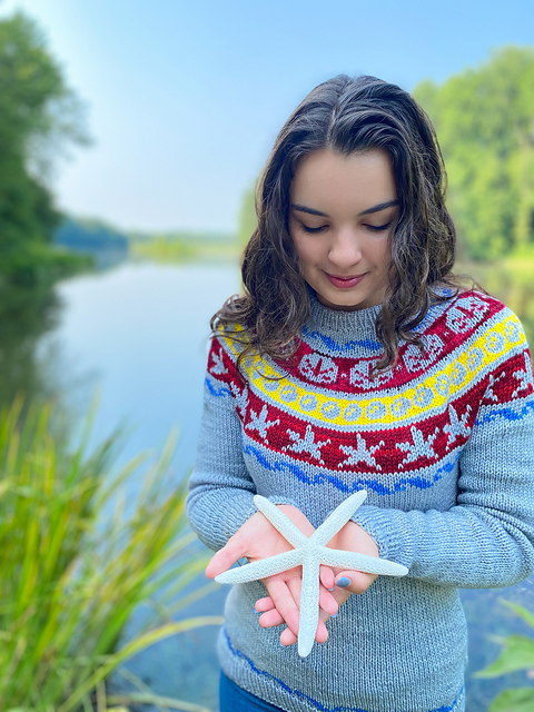 Shell Seekers Pullover