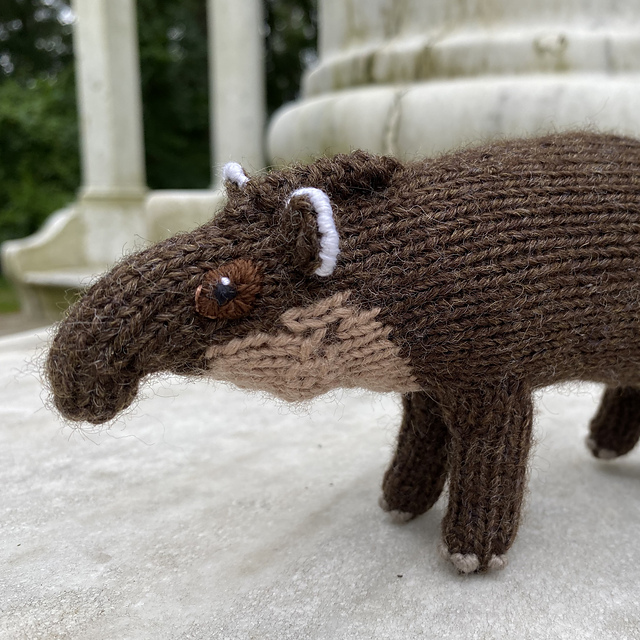 Baird's Tapir and Lowland Tapir