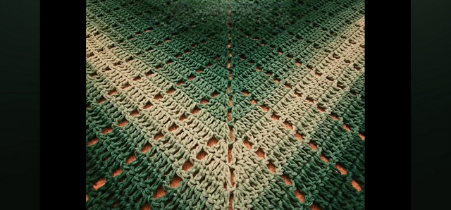 Pendant Filet Shawl