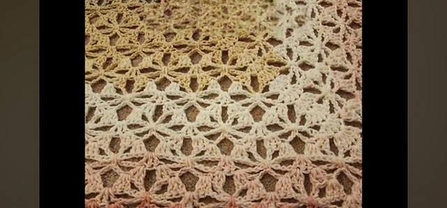 Top Down Spider Stitch Shawl