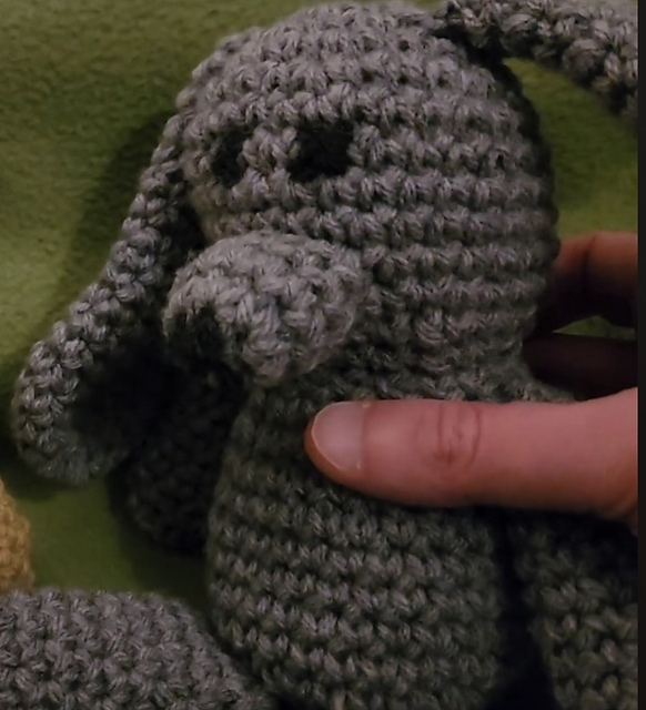 Bunny