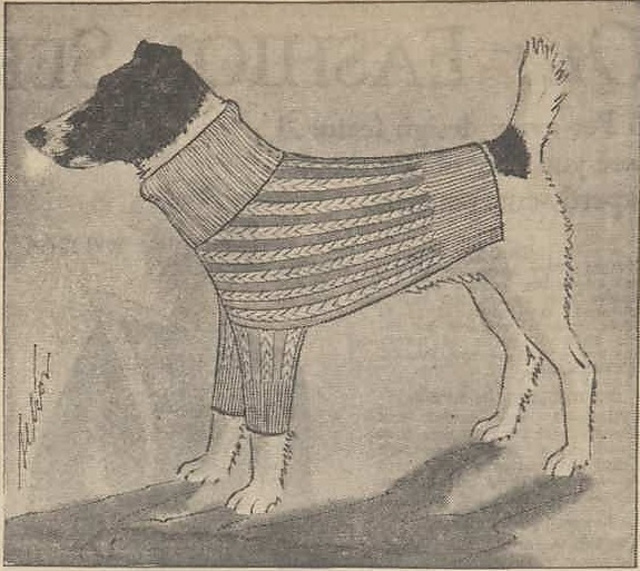 The Dog Sweater