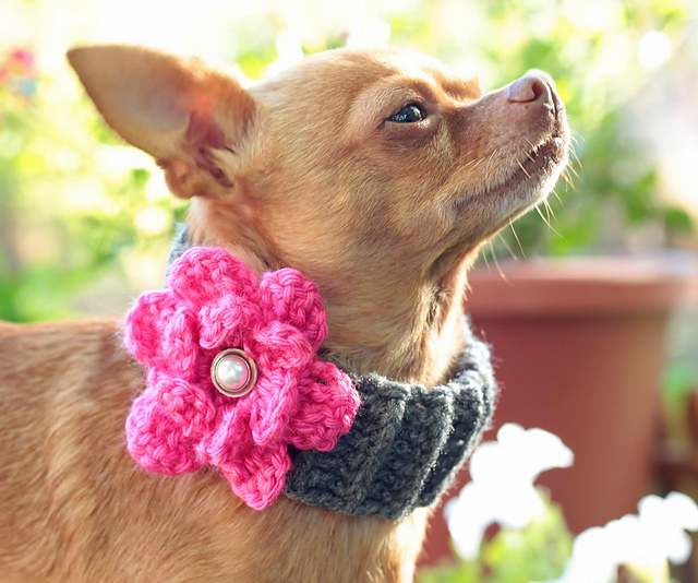 Dog Cowl Crochet