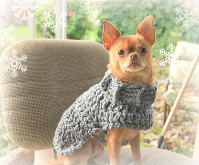 dog sweater~chunky cozy