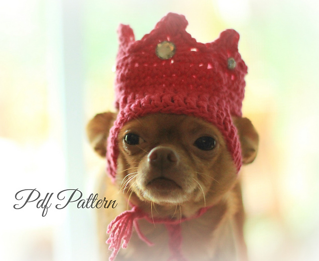 crown dog hat