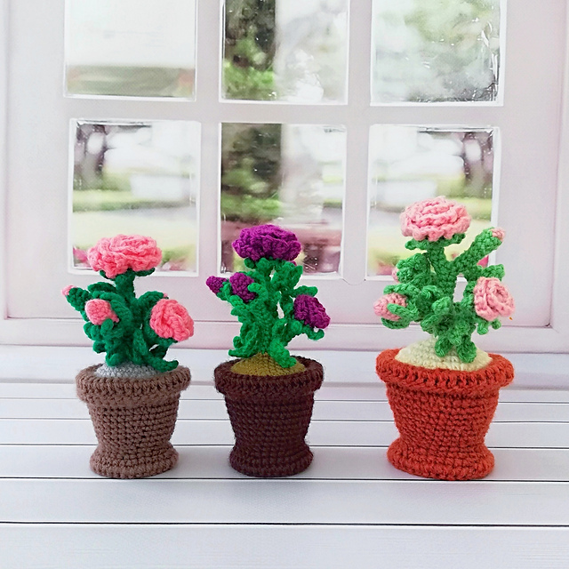 Potted rose
