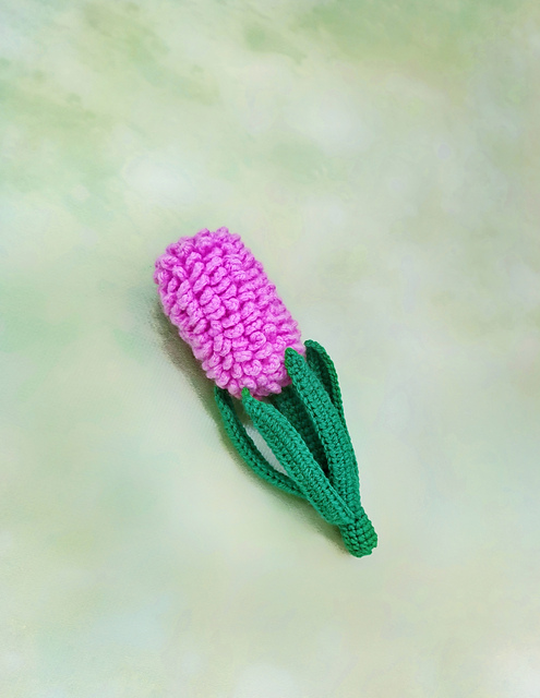 Hyacinth