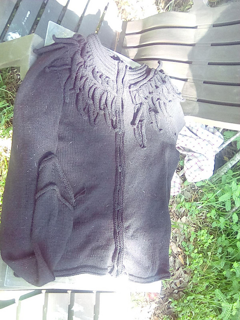 Raven Cardigan